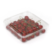 Plastic fruit packaging box clear fruit clamshell container